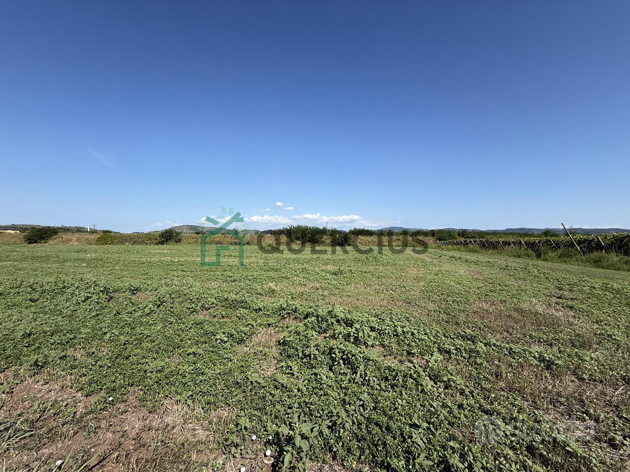 Terreno a San Bonifacio (VR) - Vista 3