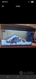 acquario juwel rio 125
