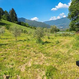 Terreno agricolo in Solto Collina