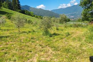 Terreno agricolo in Solto Collina
