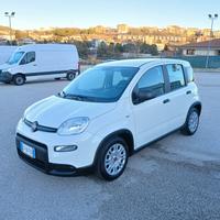 Fiat Panda 1.0 HYBRID 70CV 2023 CITY LIFE