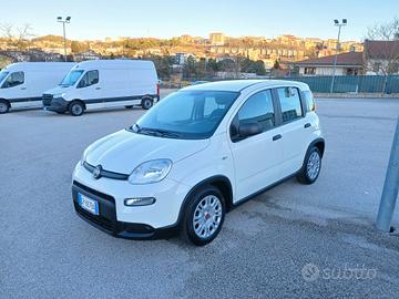 Fiat Panda 1.0 HYBRID 70CV 2023 CITY LIFE