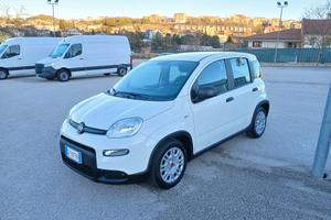 Fiat Panda 1.0 HYBRID 70CV 2023 CITY LIFE