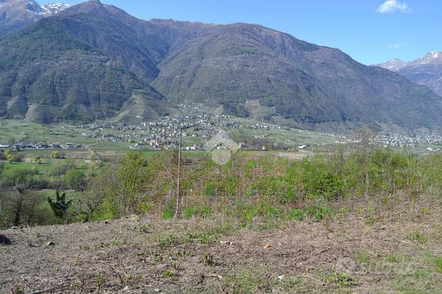 TERRENO A VILLA DI TIRANO