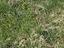 Immagine 11