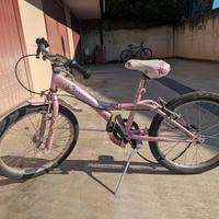 2 biciclette bambina  una piccola ed una 20"