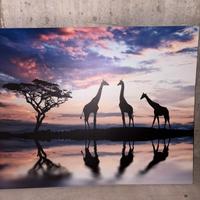 Quadro
