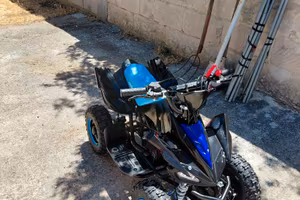 Mini quad a motore toxic  50cc ruota 6