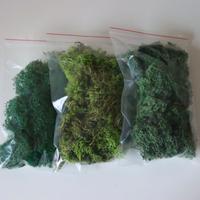 Muschio stabilizzato per hobby 50g