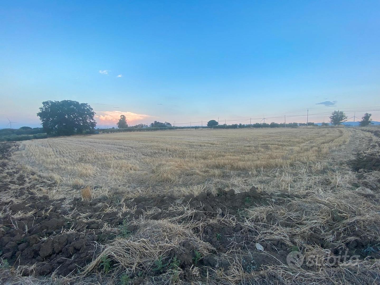 Terreno con oliveto zona convento rif.743 - Vista 3