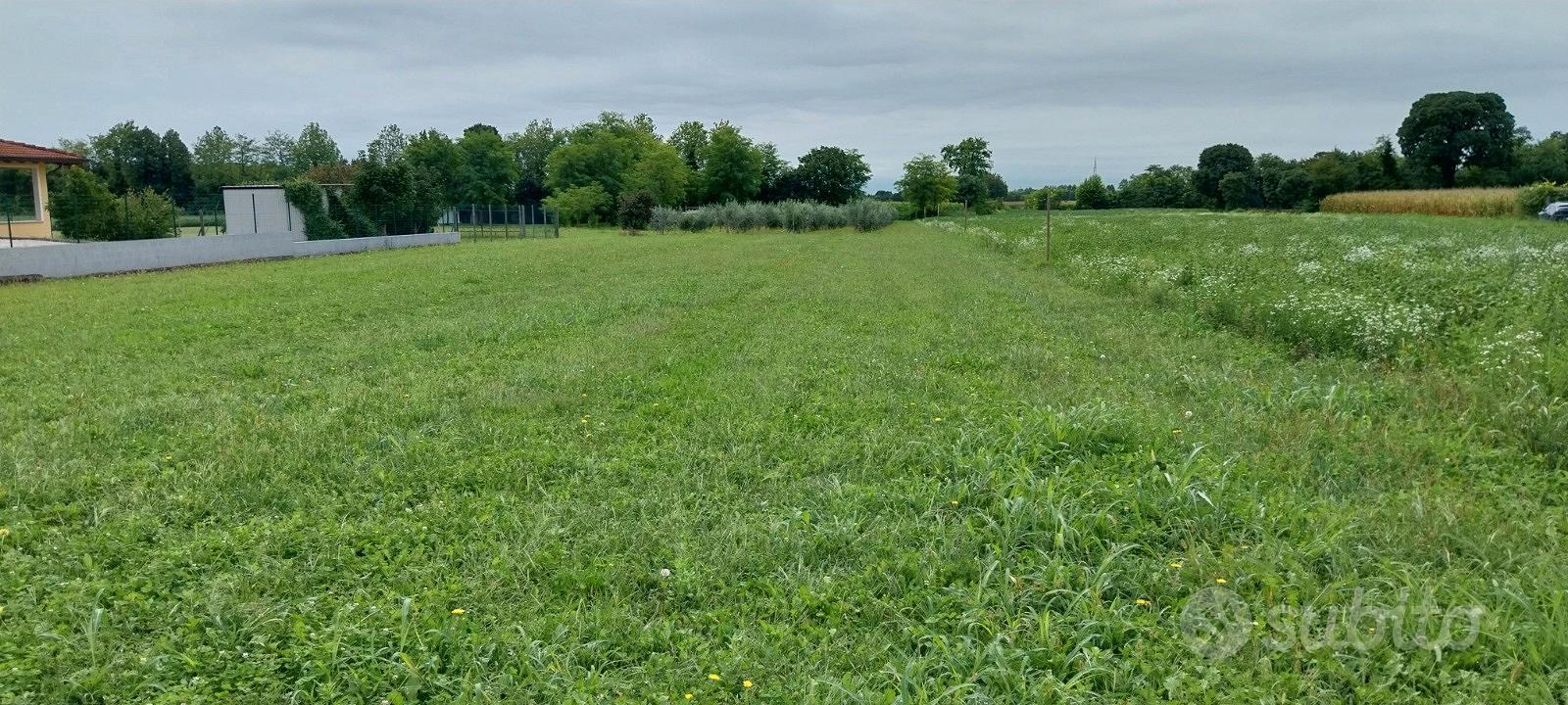 Terreno edificabile e agricolo - Vista 3