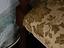Immagine 22