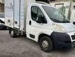 FIAT DUCATO CELLA FRIGO 2.2 HDI 130 CV