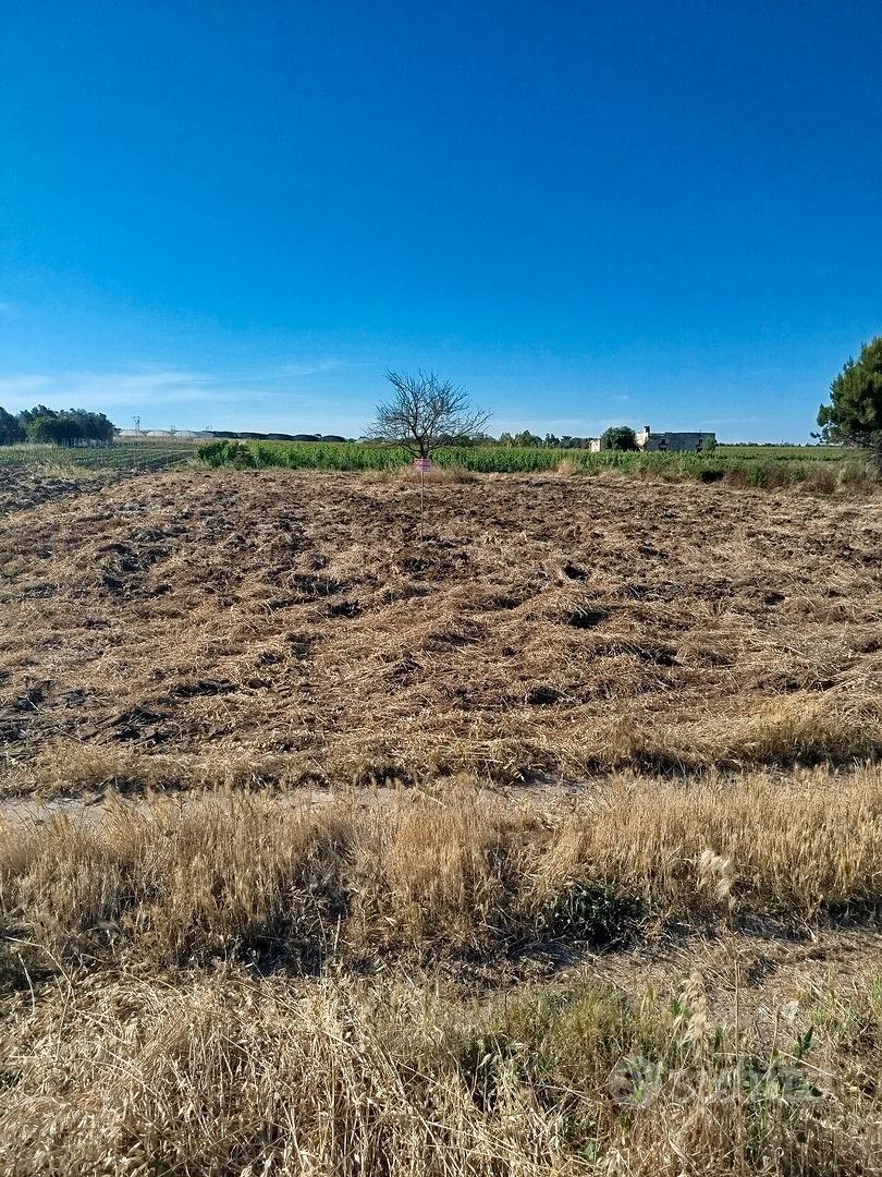 Terreno Agricolo - Vista 3