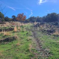 Terreno - Santa Maria di Licodia