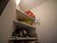 Immagine 28