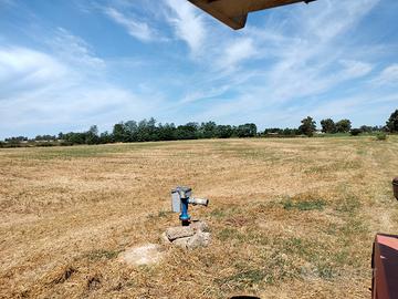 Terreno agricolo