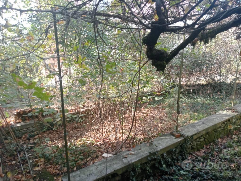 Apartment in Bucine, Bellavista - Vista 5