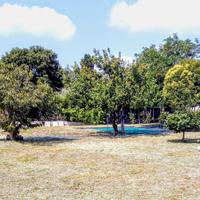 Terreno a Castiglione della Pescaia