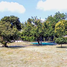 Terreno a Castiglione della Pescaia