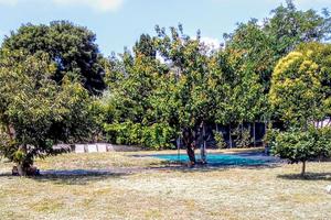 Terreno a Castiglione della Pescaia