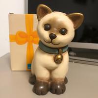 gatto Siamese Thun 2019-2020