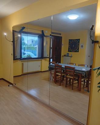 Specchi da palestra 