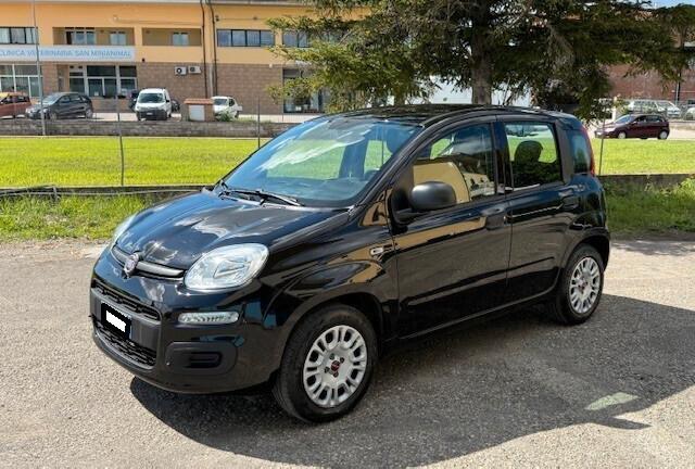 Fiat Panda 1.2 Easy 5 posti iva esposta