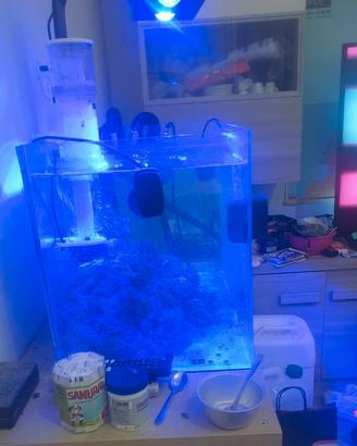 acquario marino completo pronto da utilizzare