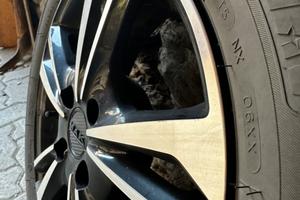 Cerchio Mak + Gomma estiva R15