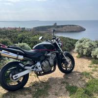 Honda hornet 600