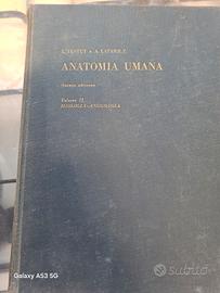 ANATOMIA UMANA  TESTUT LATARJET