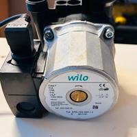 Circolatore wilo