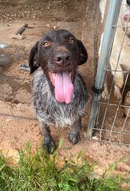 Nice non la sceglie nessuno