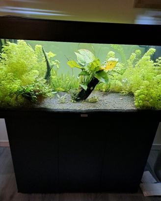 acquario juwel rio 180