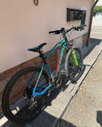 Bicicletta