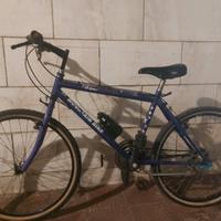 MTB - bici  Nuzzi da 26