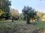 Immagine 10