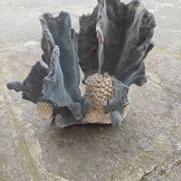 Corallo blu per arredo