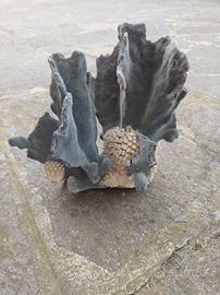 Corallo blu per arredo