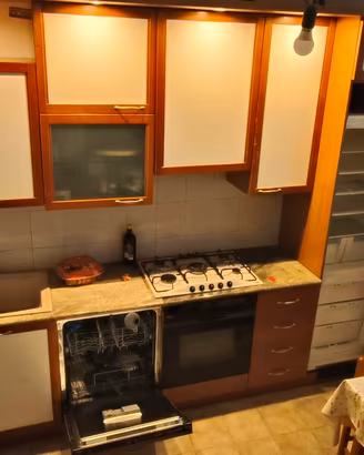 cucina lineare con elettrodomestici 