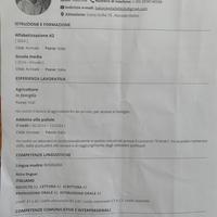 Panettiere, pizzaiolo