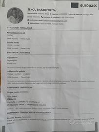 Panettiere, pizzaiolo