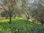 Immagine 10
