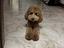 Immagine 3