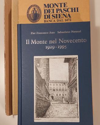Il Monte nel Novecento (1929-1995)