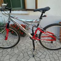 Bicicletta tipo Mountain Bike