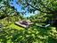 Immagine 27