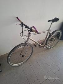 bici mountanbike