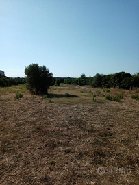 Terreno edificabile sassari